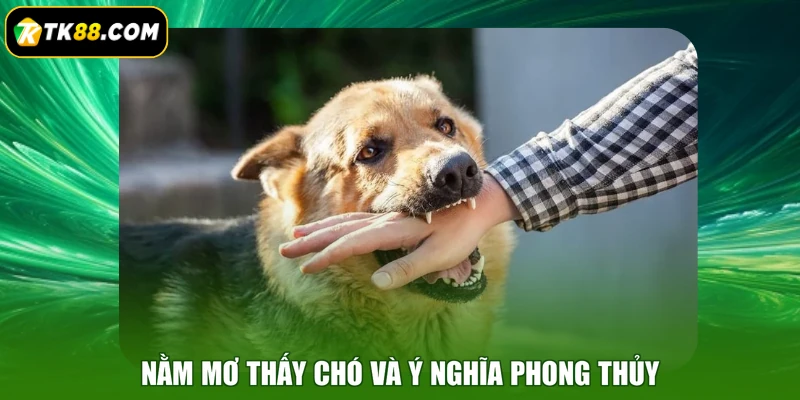 Nằm mơ thấy chó và ý nghĩa phong thủy